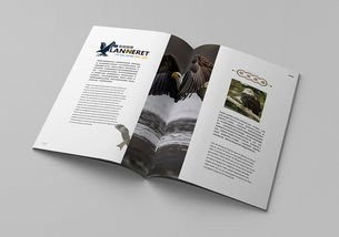 平面書裝設計的藝術與實踐——以站酷ID 915694981為例